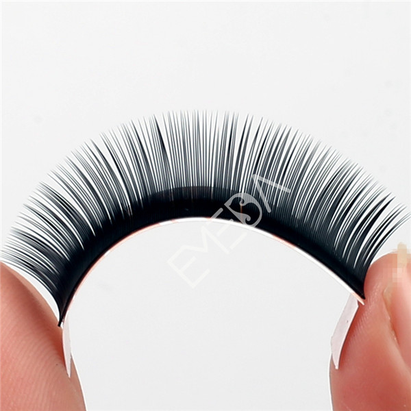 Natural Mink Eyelash Extensions Houston EL-PY1